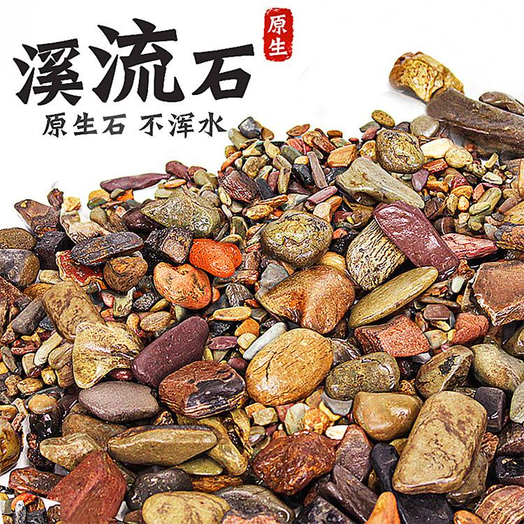 生态装饰沙底砂原生缸南美大矶