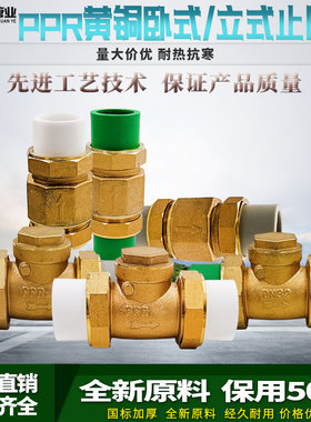 PPR黄铜止回阀4/6分1寸卧式立式止阀内外丝水管道单向阀40/50/63