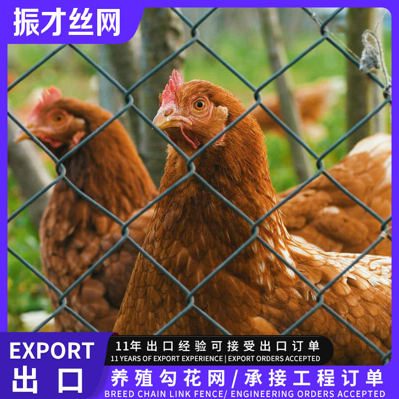 防锈热镀锌勾花铁丝围栏球场围网鸡鸭牛羊栅栏养殖菱形编织勾花网