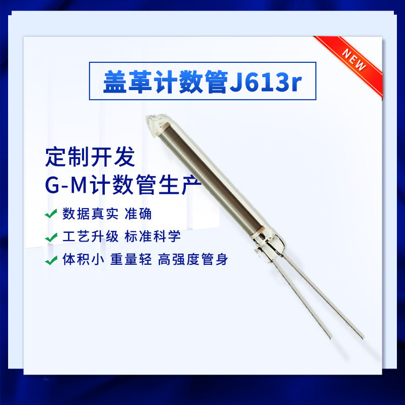 盖革管计数管J613监测仪 X-Y射线剂量报警仪