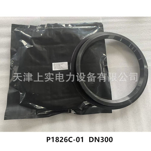 克莱德圆顶阀插入式密封圈DN300
