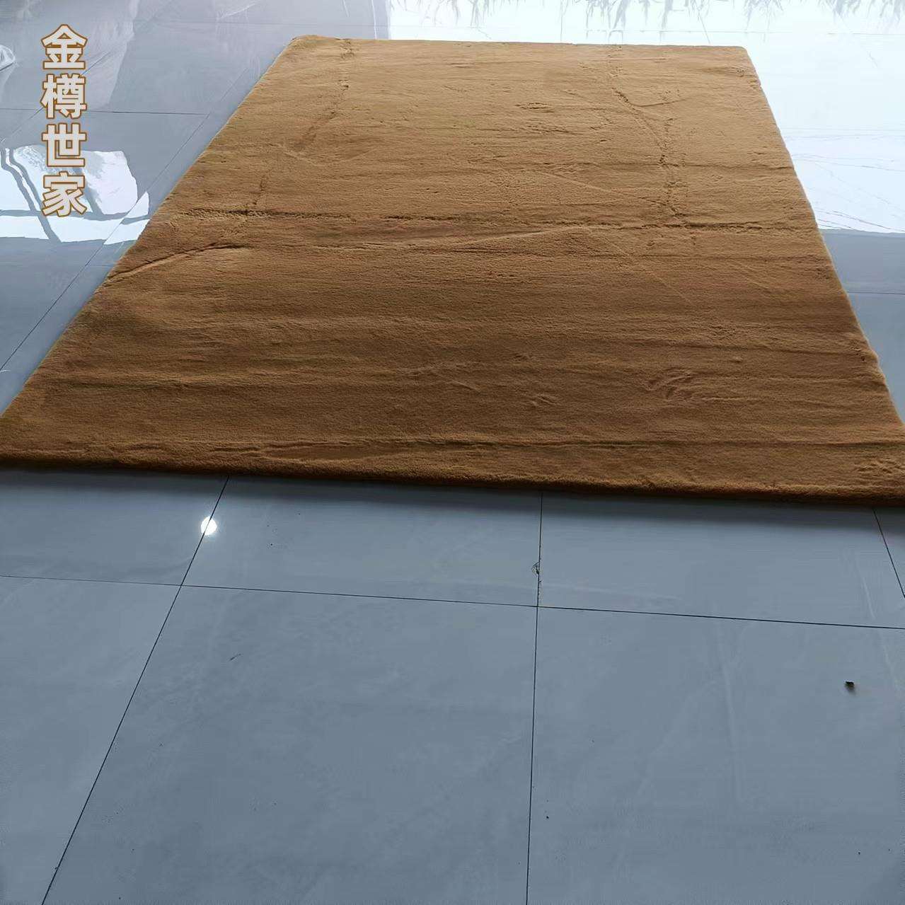加厚长毛绒地毯卧室床边地毯现代仿兔毛飘窗满铺房间客厅茶几地垫