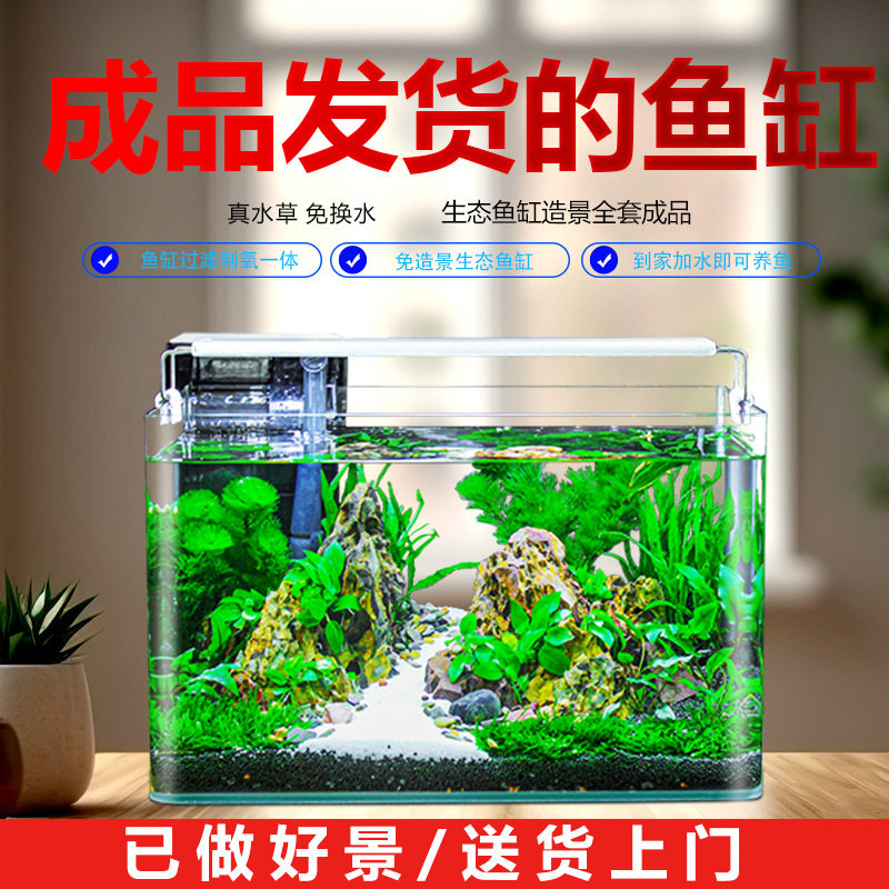 鱼缸客厅2025新款桌面家用小型金鱼缸全套造景真水草生态免换水缸