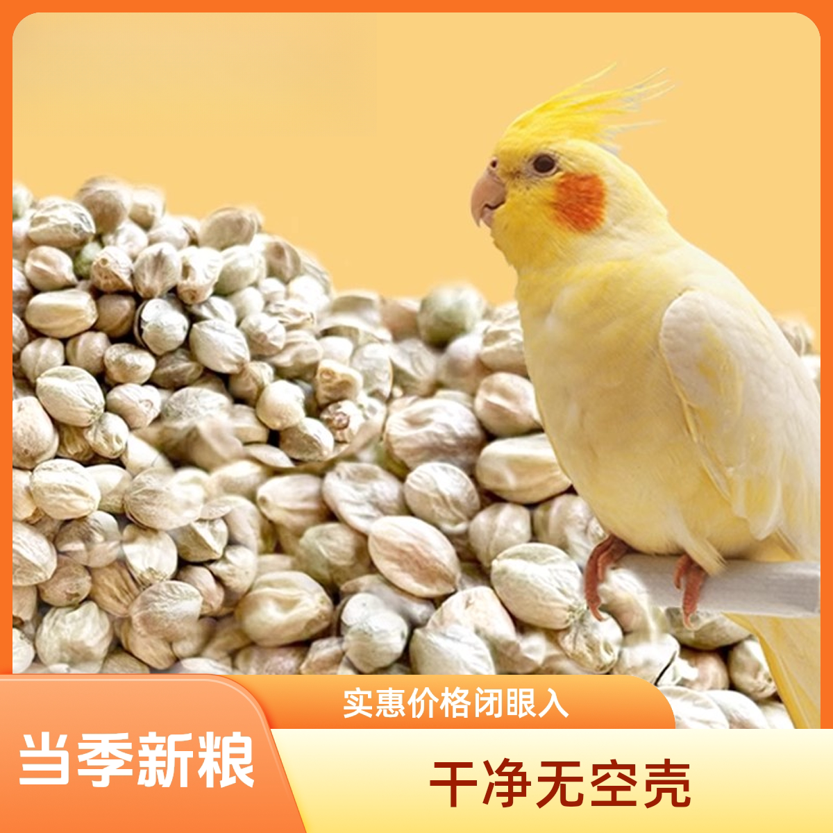 鹦鹉鸟粮自配虎皮牡丹玄凤小油葵加纳谷子纸壳麻子荞麦蛋黄红花籽