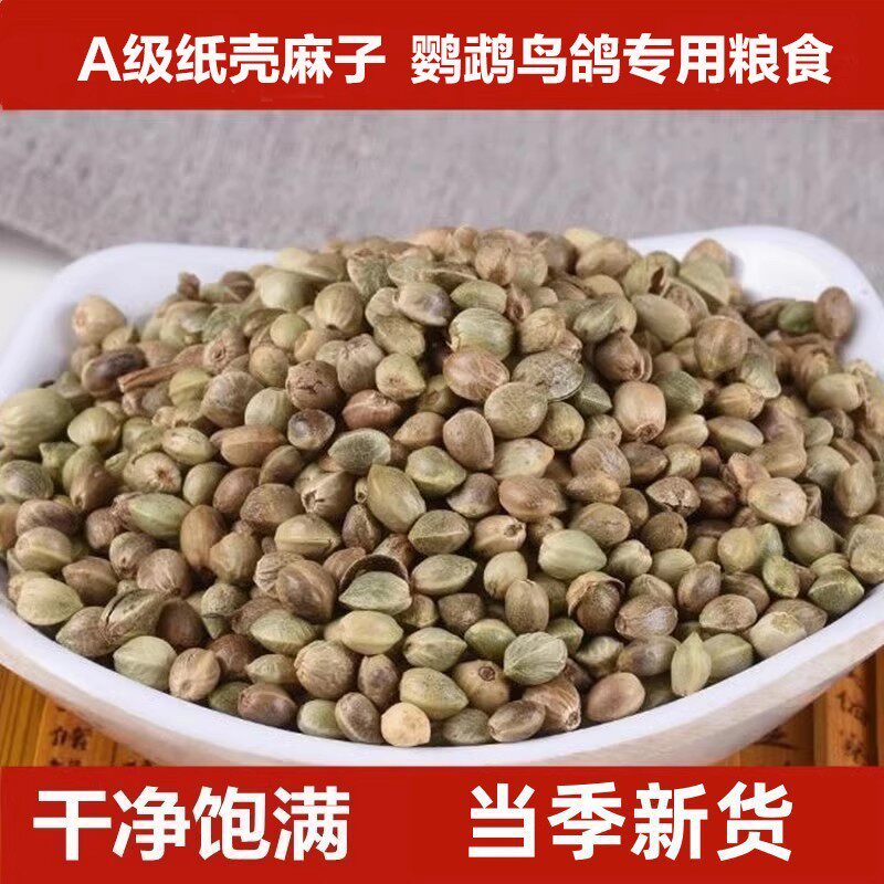 纸皮麻子鸟粮牡丹鹦鹉薄皮纸壳麻籽新粮大粒饲料天然营养增肥靓羽