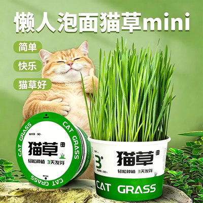 懒人泡面猫草盆栽种子猫薄荷猫咪用品大全零食轻松温和排毛化草毛