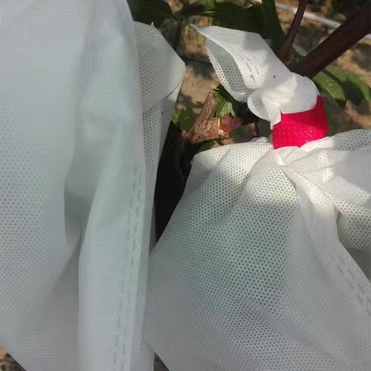 水果套袋防鸟袋通用袋无花果苹果桃子芒果防虫袋瓜果防虫专用袋