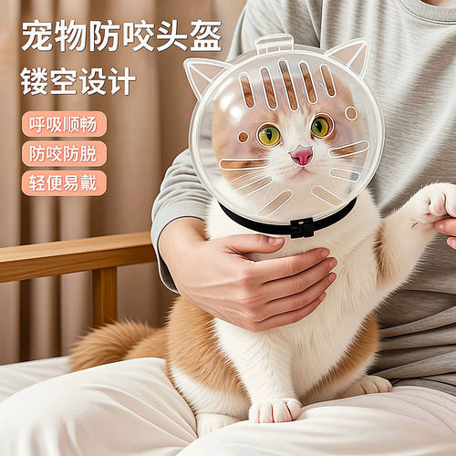 猫咪太空头罩防咬人防舔药洗澡剪