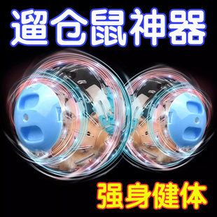 仓鼠跑球跑轮玩具金丝熊跑步运动滚球透明透气专用户外玩具不卡脚
