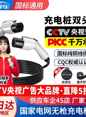 新能源电动汽车充电桩双头枪适用比亚迪北汽双枪两头慢充国家电网