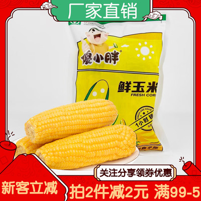 傻小胖鲜玉米400g内蒙古香糯玉米