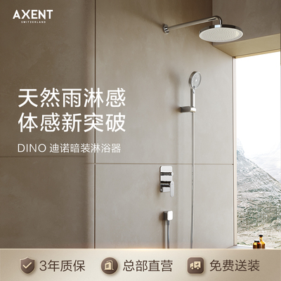 AXENT恩仕 迪诺暗装家用卫生间淋浴花洒入墙嵌入式预埋淋浴器F555