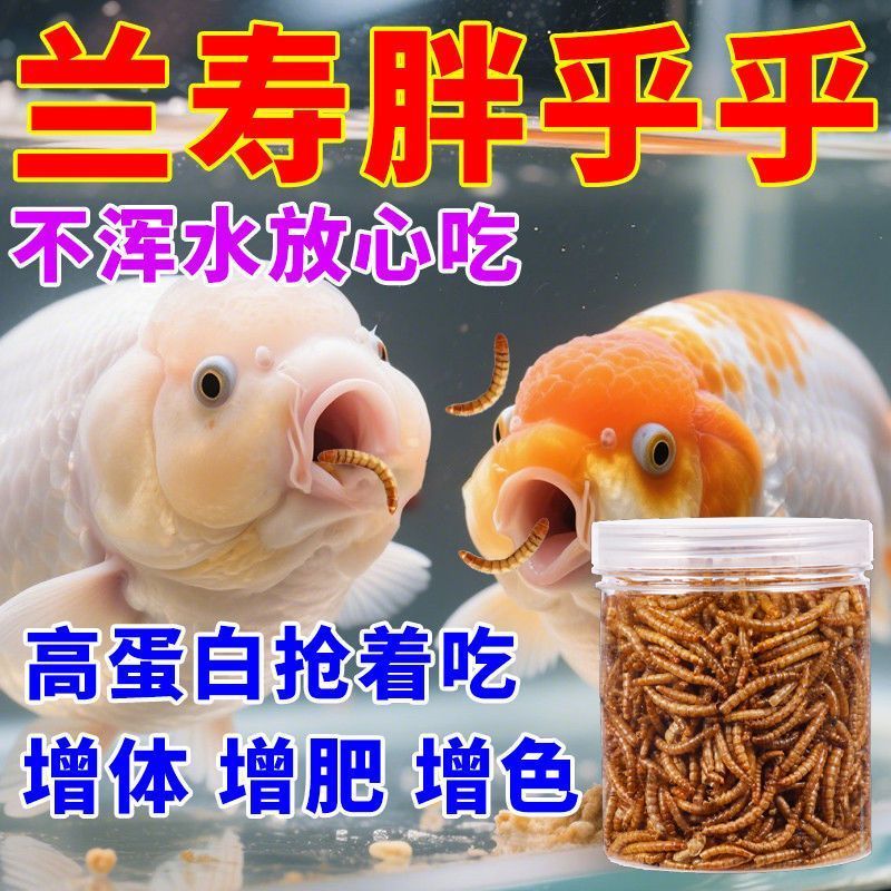 金鱼饲料面包虫干龙增色锦鲤蝴蝶鲤饲料高蛋白通用上浮鱼食观赏鱼