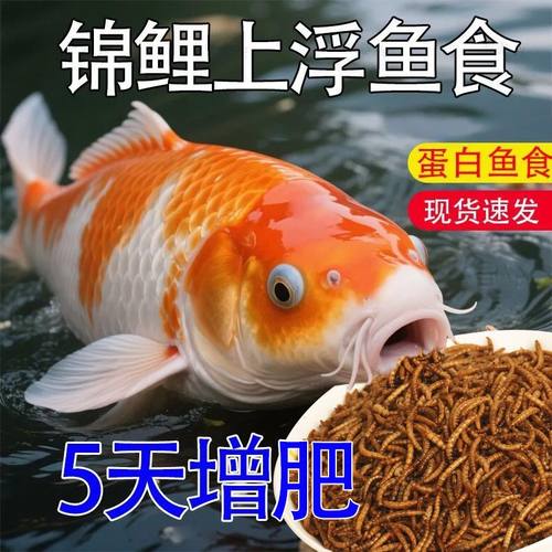 锦鲤鱼食面包虫干鱼饲料龙鱼观赏鱼通用型营养高蛋白饲料上浮颗粒