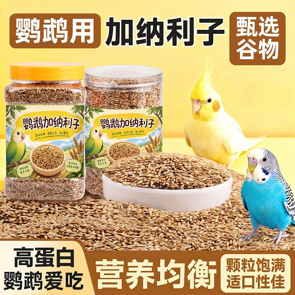鹦鹉粮加纳利子高蛋白鸟粮训练奖励虎皮小太阳牡丹玄凤饲料鸟零食