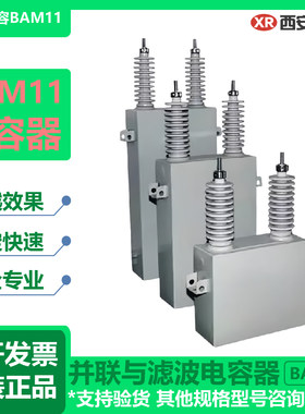 西安西容并联与滤波电容器BAM11
