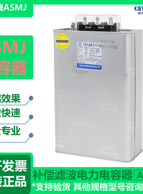 威斯新款康ASM045303抗谐波自愈式并联30KVAR补偿滤波电力电容器