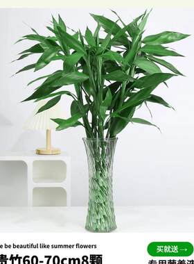 新款富贵竹水培植物转运竹子带根水养室内客厅绿植盆栽观音竹包邮