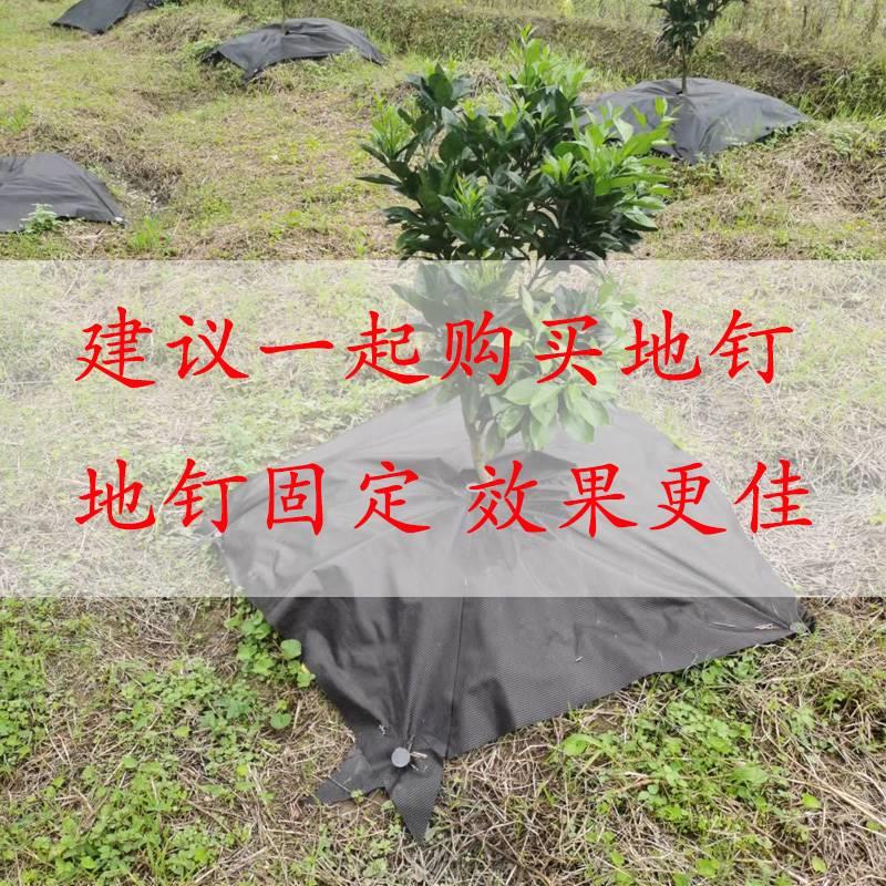 张型防草布草布果园地布除农用单新ITA可降解果树盖草布地膜