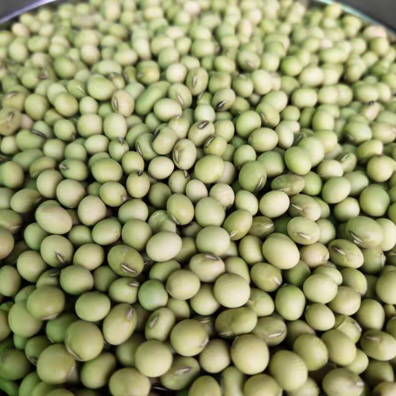 湖南湘西农家新鲜青皮黄豆（助农专属）