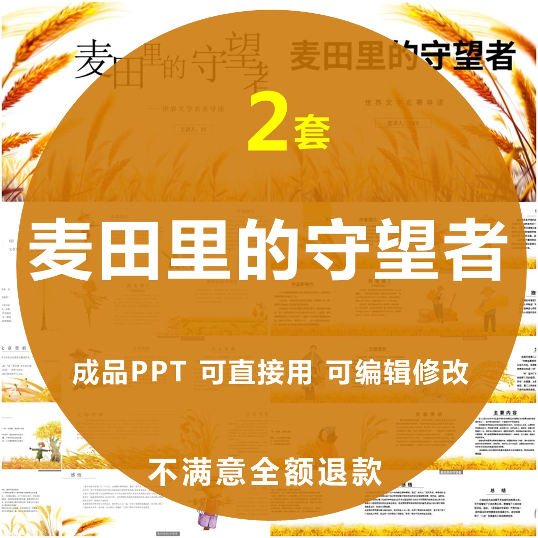 麦田里的守望者ppt世界文学经典名著导读后感读书分享会模板课件