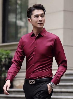 Stylish Longsleeved Shirt for Men in 2025 White Wrinklefree