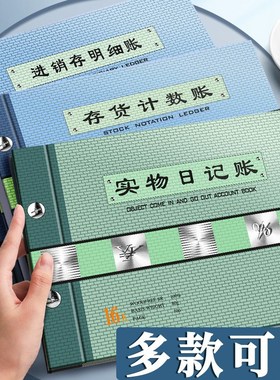 Counting Ledger for Physical InOut IncomeExpense Details InO