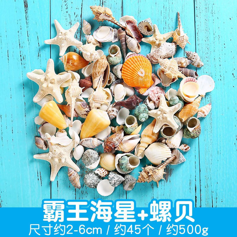 Natural Shells Starfish DIY Materials for Aquarium Decoratio