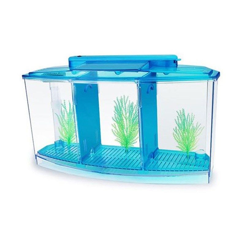 Mini Fish Tank Aquarium Betta Box Office Fishkeeping Small T
