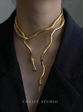 New Womens Snakebone Chain Necklace Random Shape Collar Snak