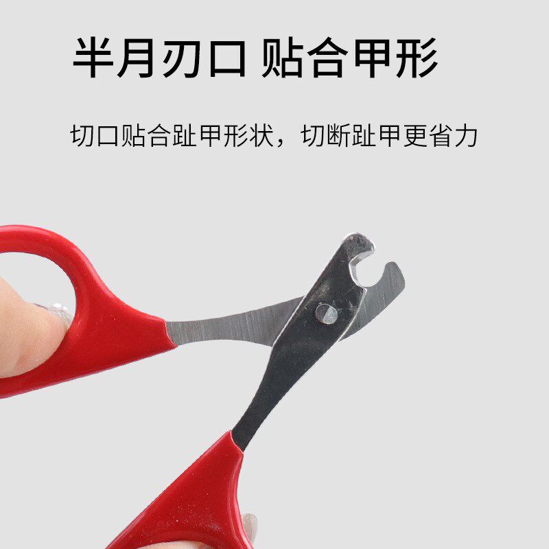 Pet Supplies Cat Nail Clipper Stainless Steel Small Pet Nail