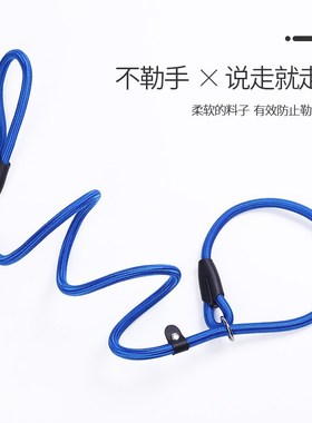 AntiPull Pet Leash P Chain Durable Dog Cat Leash for WalkAnt