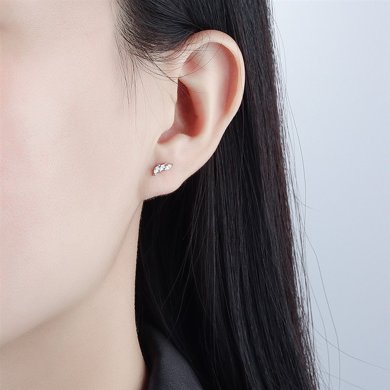 Elegant EuroAmerican Earrings INS Elegant EuroAmerican Earri