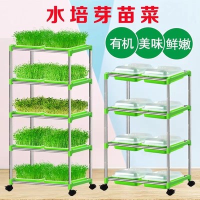 Seedling Tray for Sprouts SoilFree Cultivation Mesh Pea Spro