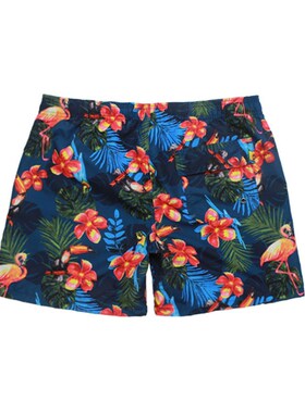 Summer 2025 QuickDrying Beach Shorts 4Point Loose Printed Sh