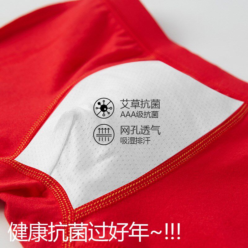 Boys Red Cotton Dragon Year Boxer Shorts Chinese Red Shorts