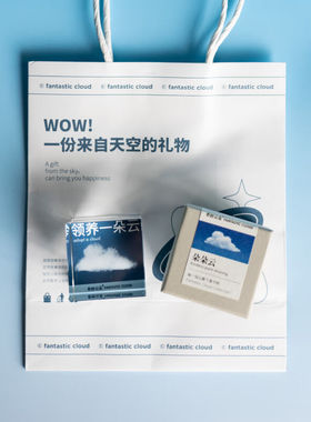 奇妙云朵领养一朵云创意礼物云朵摆件生日送女友闺蜜情侣高级感七