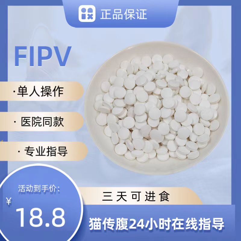 猫传腹片剂FIPV腹水黄疸