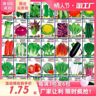 蔬菜种子四季播种阳台农家盆栽香菜菠菜生菜韭菜小葱草莓籽孑大全