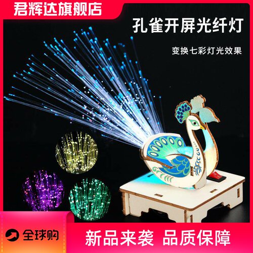 科学实验diy孔雀开屏光纤灯科技小制作儿童手工steam材料包套装