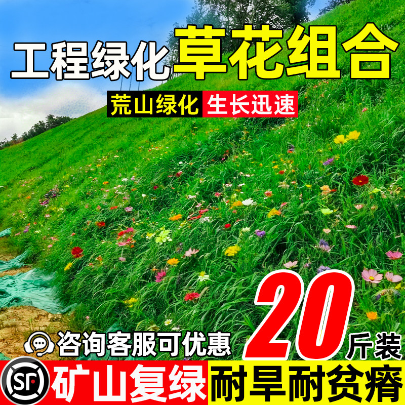护坡草花组合护坡固土工程绿化