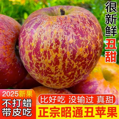 丑苹果--是阳光雨露写在舌尖的诗
