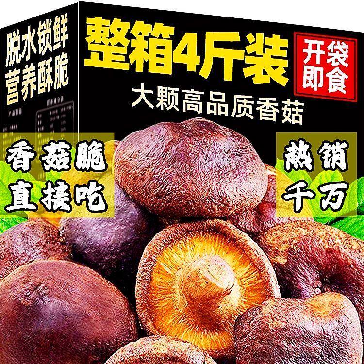黑松露香菇脆片儿童孕妇蔬菜干香菇脆休闲零食蘑菇小零食脱水果w1