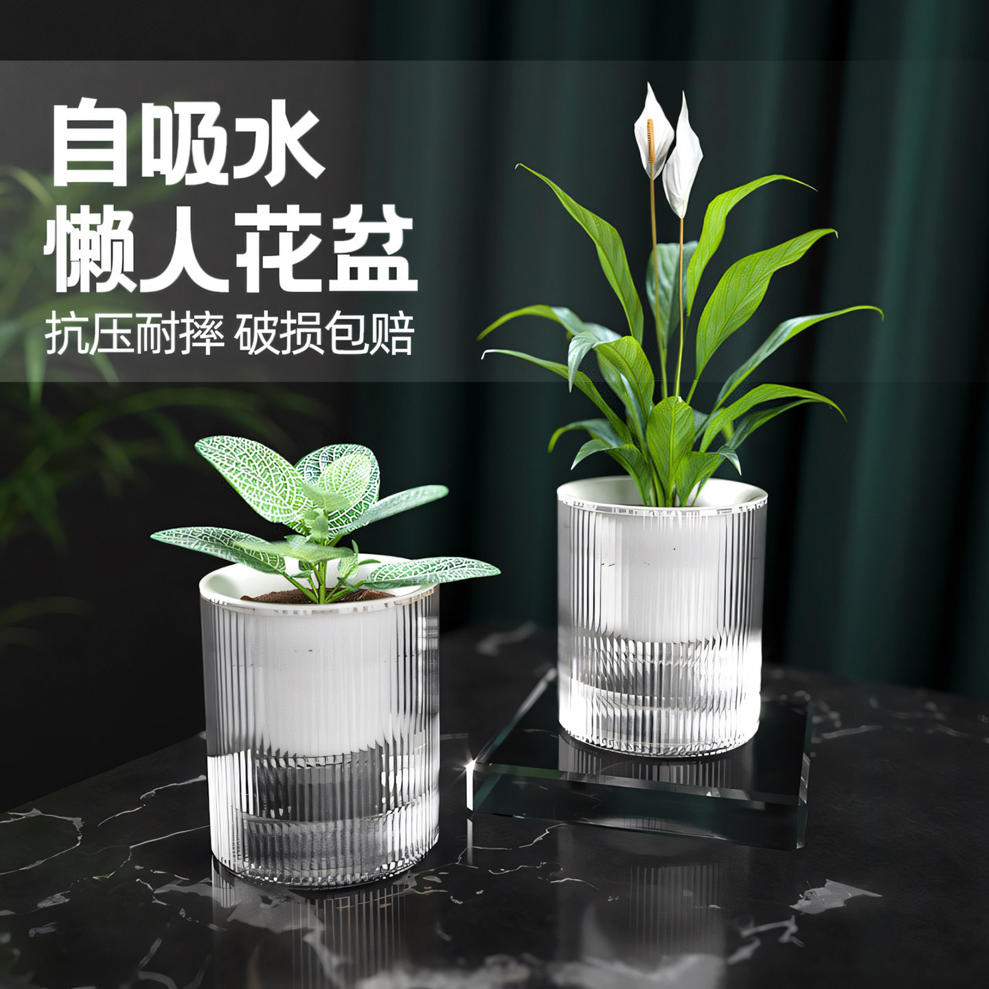 水培塑料花盆懒人花盆自动吸水家用高级感水培绿萝多肉盆栽盆耐用