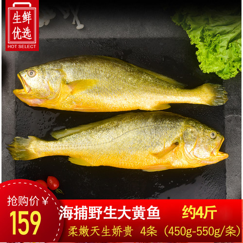 条装黄花鱼海鲜冷冻水产