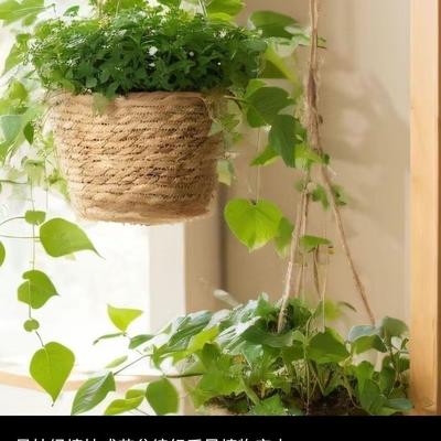 藤编编织草编吊篮吊式花盆绿萝盆挂式吊兰悬挂室内花篮挂墙壁挂式