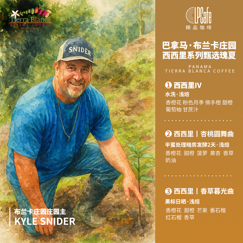 LP CAFE · 巴拿马布兰卡庄园瑰夏精品咖啡豆手冲豆花果香浅焙75g