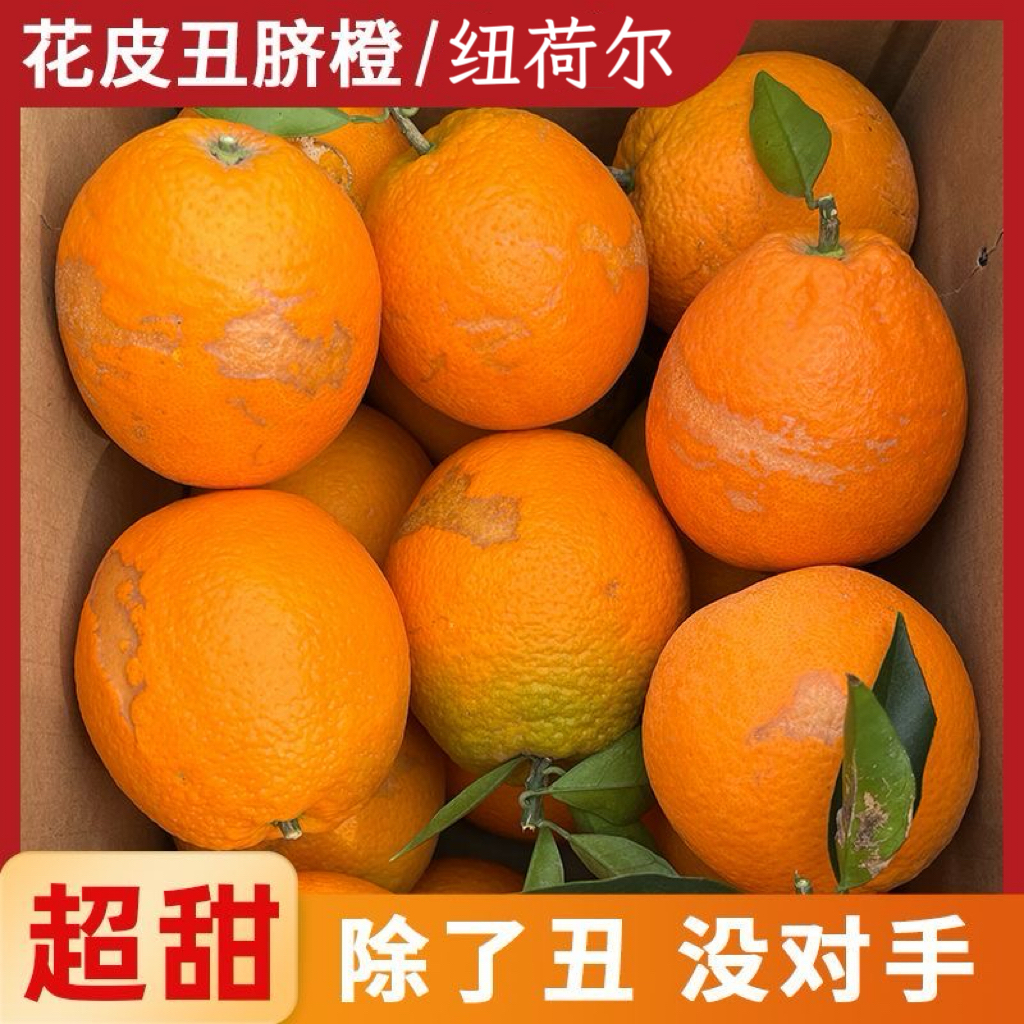 正宗枝江纽荷尔脐橙当季新鲜孕妇水果大甜橙产地直发可榨橙汁