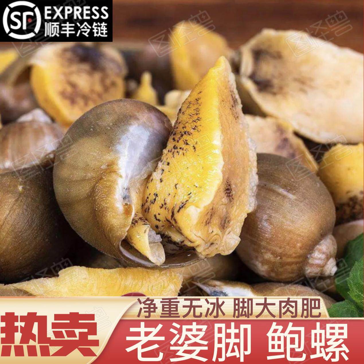 老婆脚鲜活急冻鲍螺老婆脚大号有黄鲍鱼螺海鲜水产黄金鲍新鲜澳鲍