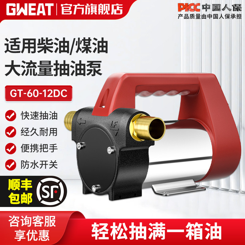 格威特小型电动抽油泵全自动吸柴油泵加油机 12V24V220V直流油泵